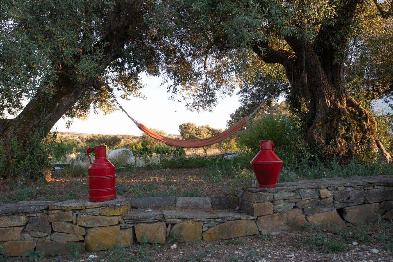 Monte Dos Vicentes Herdade Da Yucca Terena エクステリア 写真